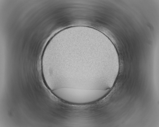 X0000112800996200910021116