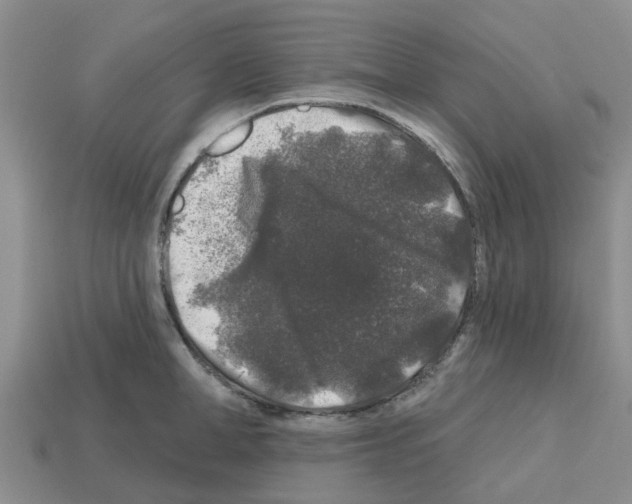 X0000112800998200910021116
