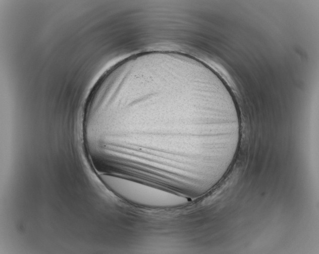 X0000112801000200910021116