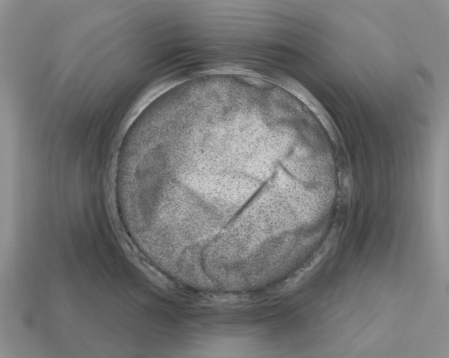 X0000112801002200910021116