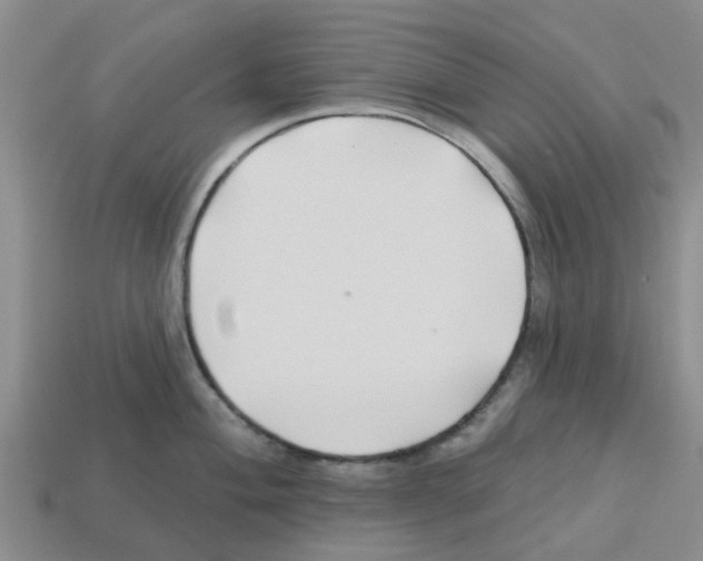 X0000112801004200910021116