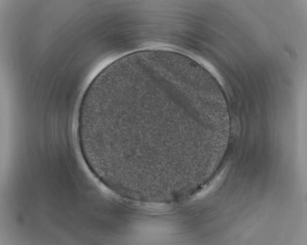X0000112801007200910021116