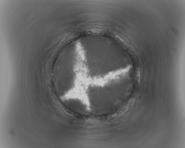 X0000112801009200910021116