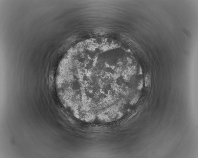 X0000112801011200910021116