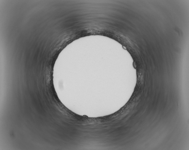 X0000112801012200910021116