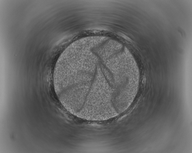 X0000112801014200910021116