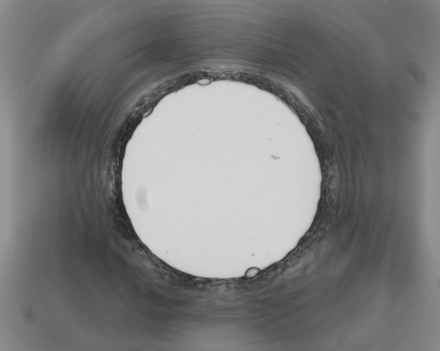 X0000112801016200910021116