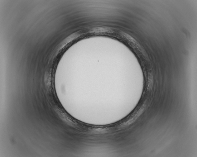 X0000112801017200910021116