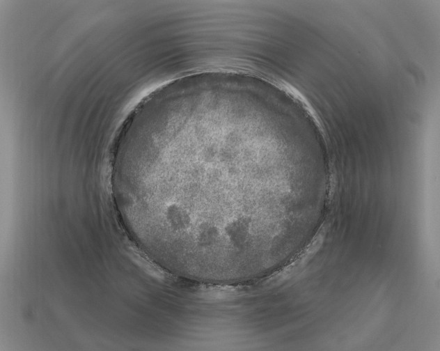 X0000112801019200910021116