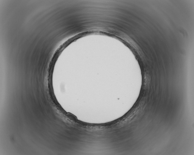 X0000112801020200910021116