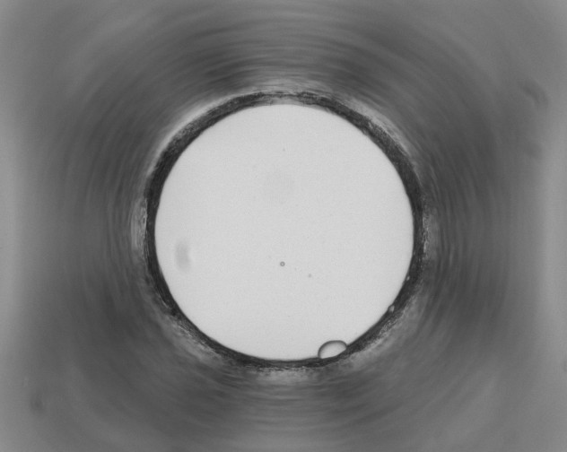 X0000112801021200910021116