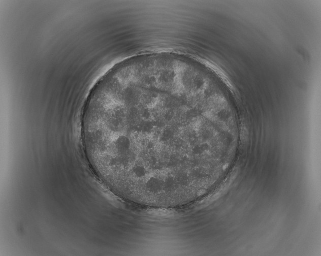 X0000112801023200910021116