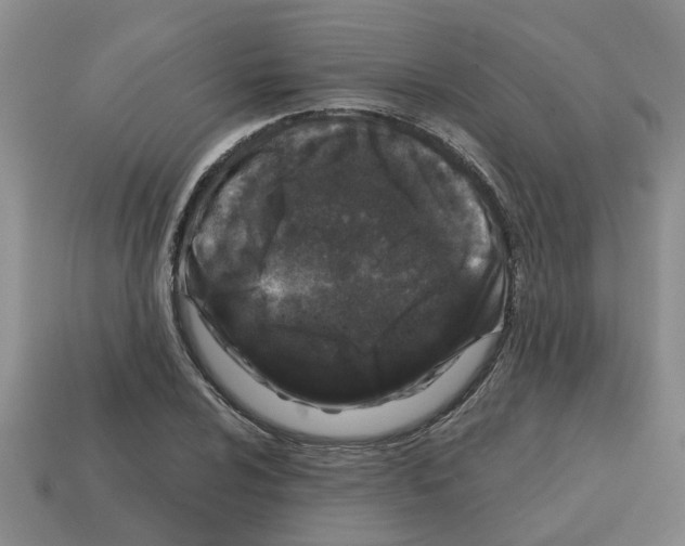 X0000112801024200910021116