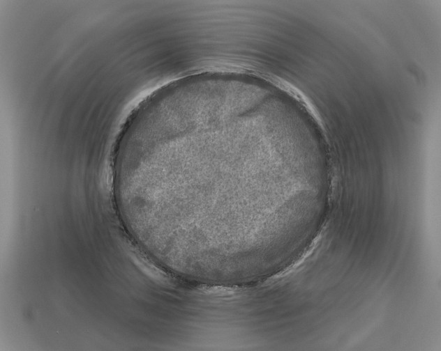 X0000112801027200910021116