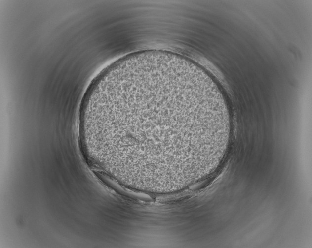 X0000112801028200910021116