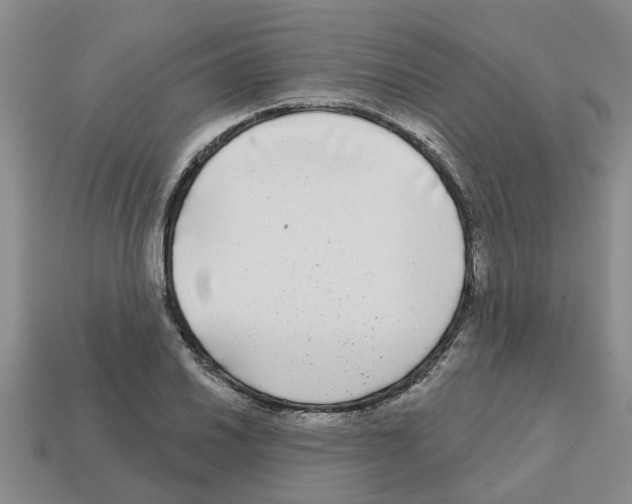 X0000112801030200910021116