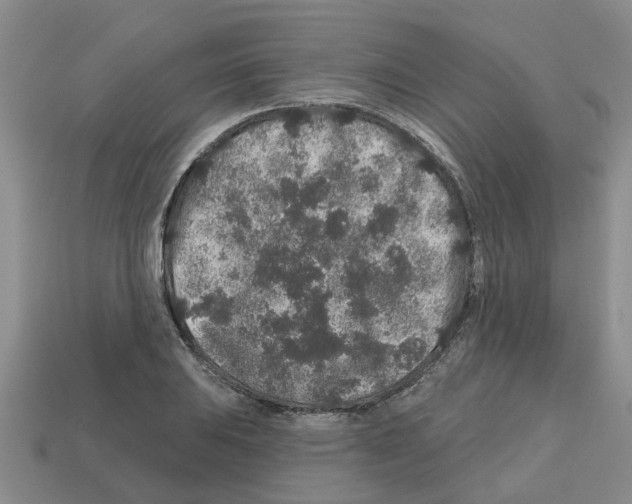 X0000112801031200910021116