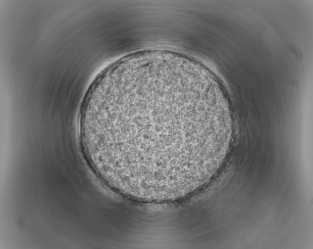 X0000112801032200910021116