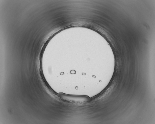 X0000112801034200910021116