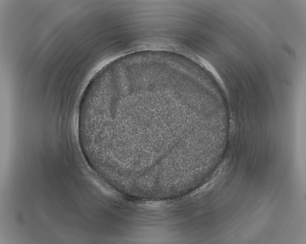 X0000112801035200910021116