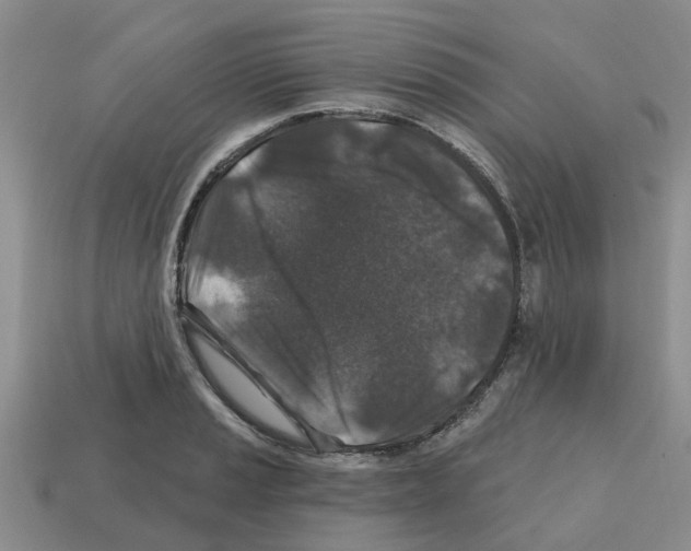 X0000112801037200910021116