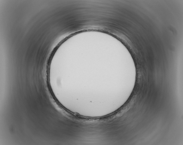 X0000112801038200910021116