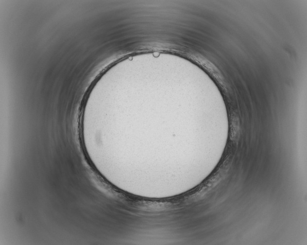 X0000112801039200910021116