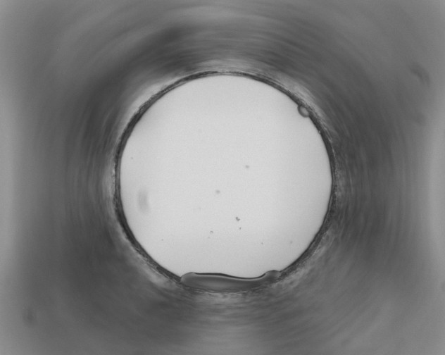 X0000112801040200910021116