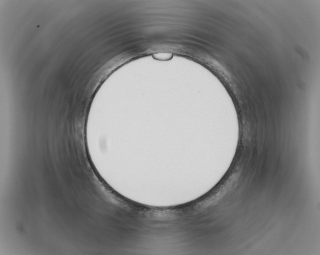 X0000112801041200910021116