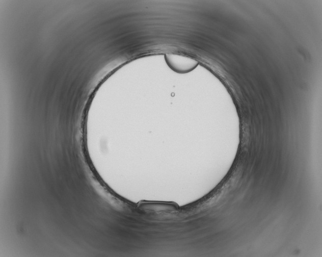 X0000112801042200910021116
