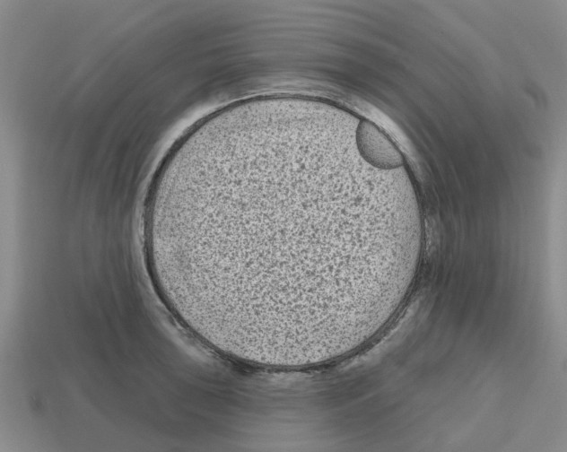 X0000112801043200910021116