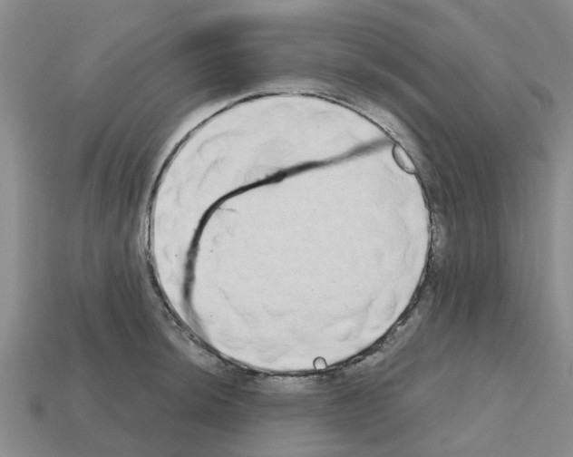 X0000112801044200910021116