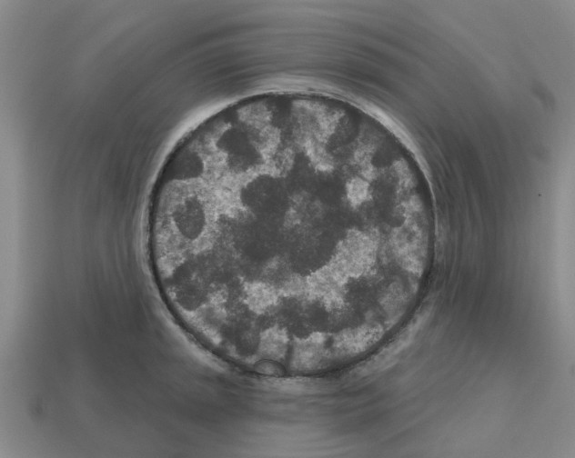 X0000112801045200910021116