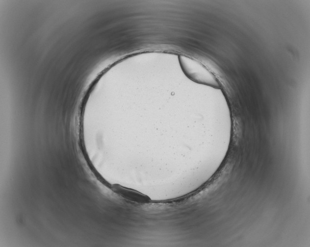 X0000112801046200910021116