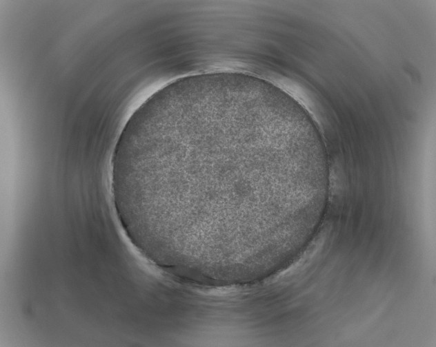 X0000112801047200910021116