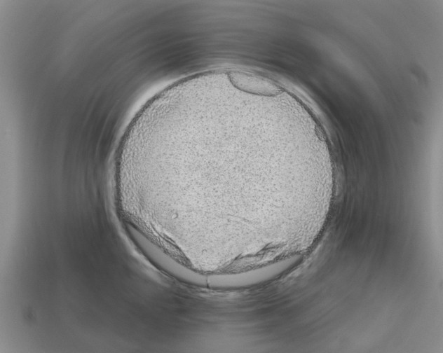 X0000112801048200910021116