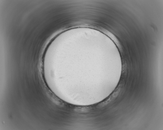 X0000112801051200910021116