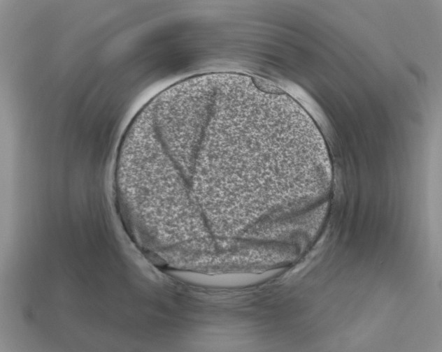 X0000112801052200910021116