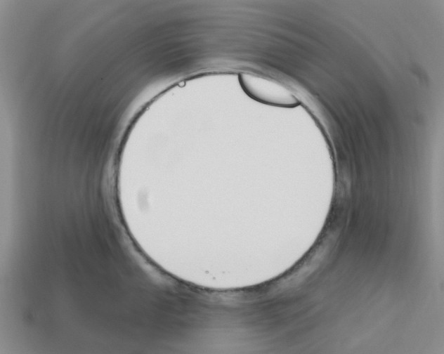 X0000112801053200910021116