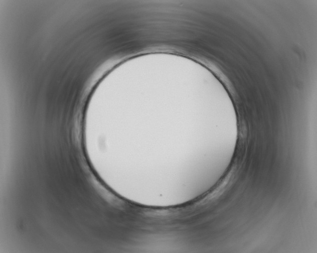 X0000112801054200910021116