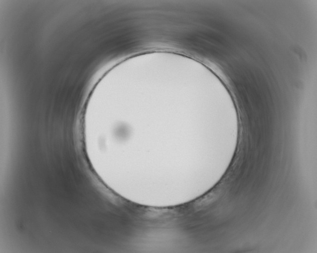 X0000112801056200910021116