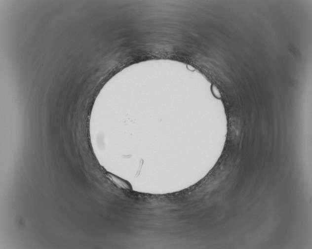 X0000112801057200910021116