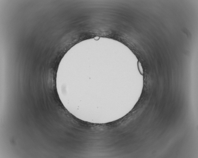 X0000112801058200910021116