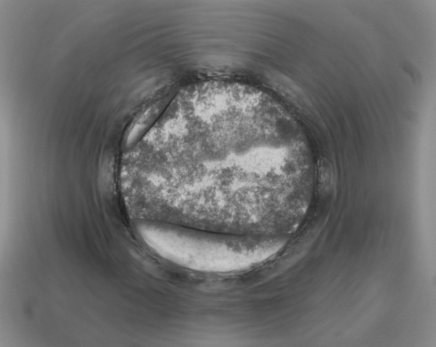 X0000112801060200910021115