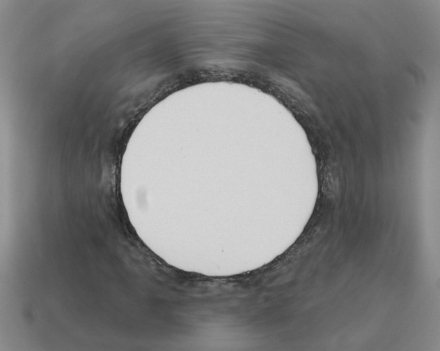 X0000112801061200910021115