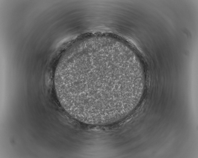 X0000112801063200910021115