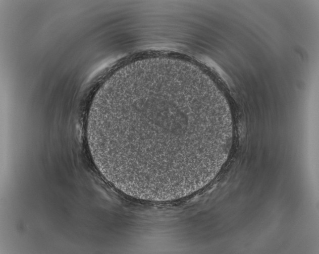 X0000112801064200910021115