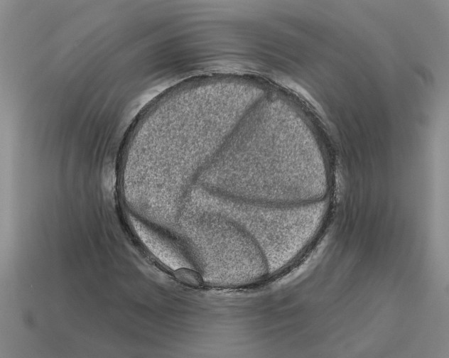 X0000112801065200910021115