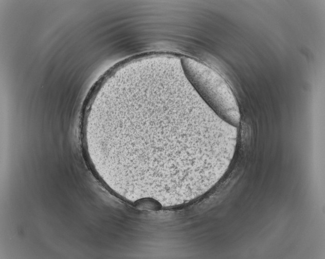 X0000112801068200910021115