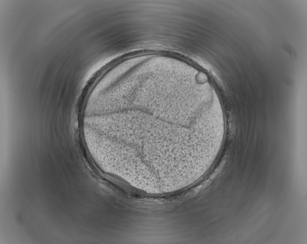 X0000112801070200910021115